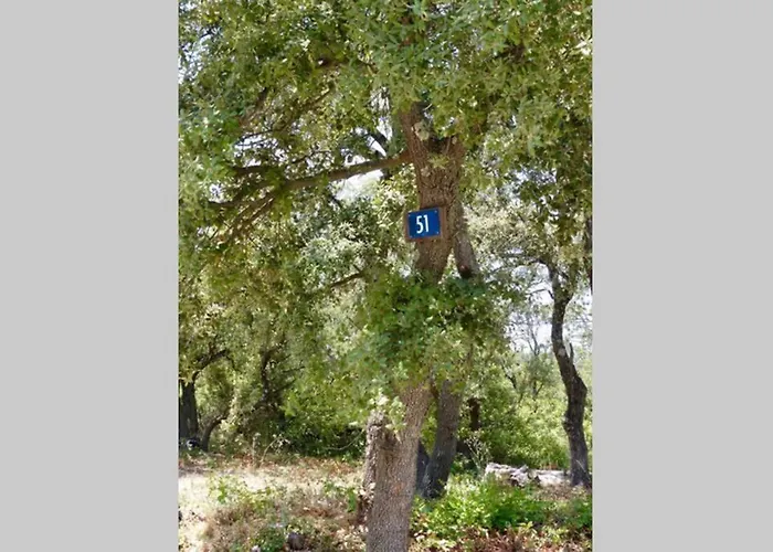 Hébergement de vacances Bem